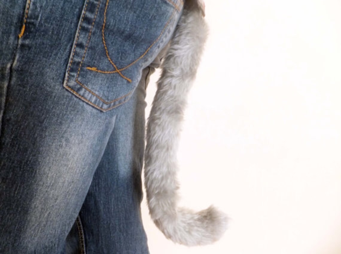 Grey Cosplay Cat Set With Ears Tail & Bell Collar Wired Etsy