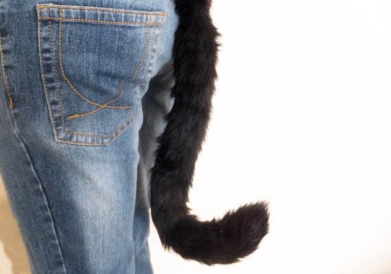asentamiento pasión Mojado Cosplay negro con alambre Conjunto de gatos con orejas Cola y - Etsy España asentamiento pasión Mojado Cosplay negro con alambre Conjunto de gatos con orejas Cola y - Etsy España
