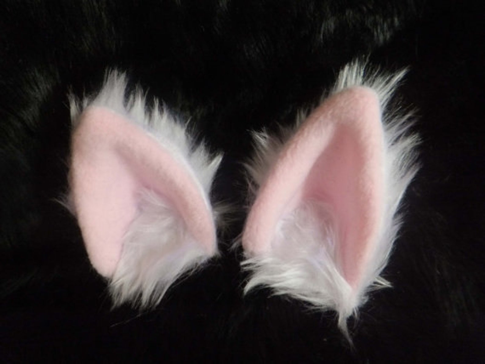 White Cosplay Cat Set with Ears Tail & Bell Collar Wired Etsy