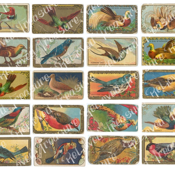 Vintage Bird Tea Cards, Tea Cards for Journaling, Vintage Tea Cards, Bird Ephemera, Vintage Ephemera