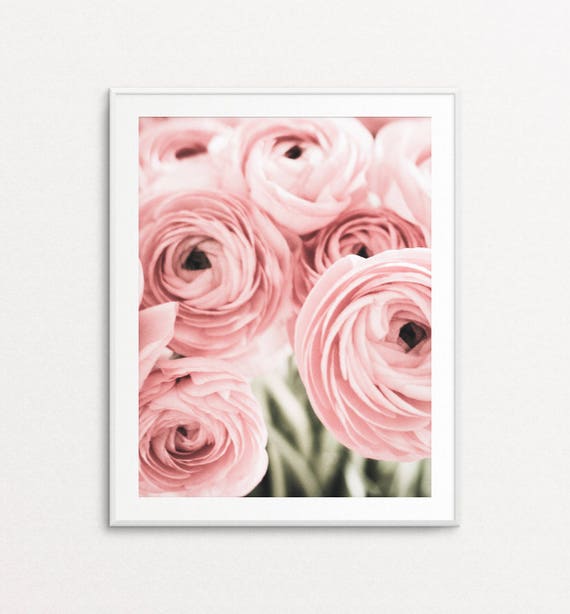 Items similar to Floral Photography, Pink Ranunculus, Ranunculus Photo ...