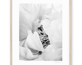 Black and White Peony Fine Art Photography, Floral Wall Art