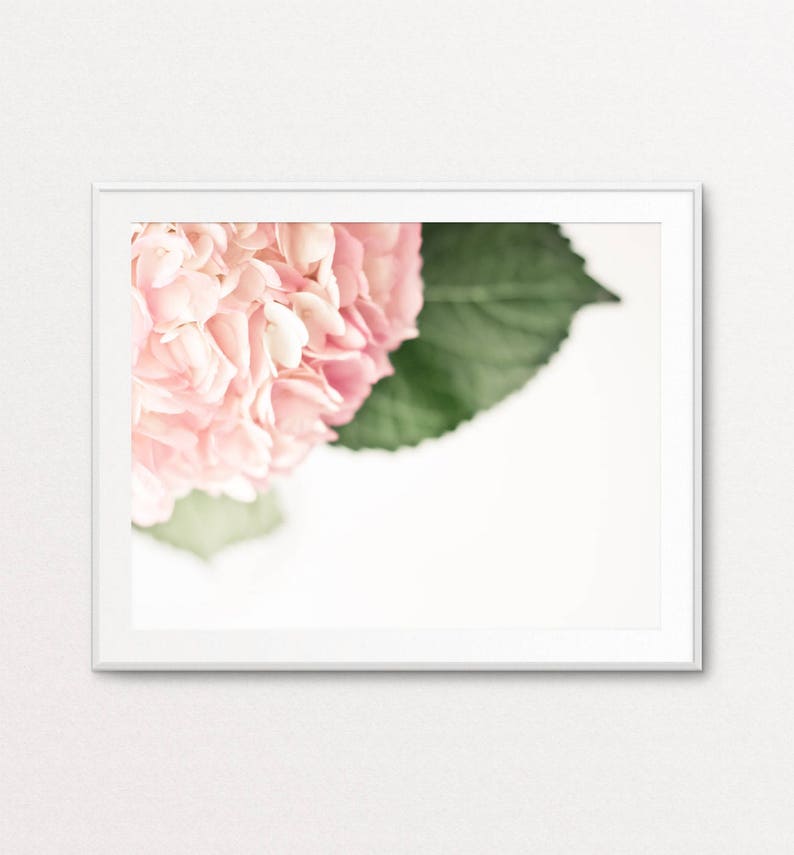 White Hydrangea Photo Floral Wall Art Floral Photography Floral Print Ethereal Photo Hydrangea Print Pink Dreamy Photo Home Decor