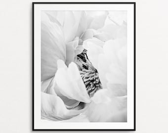 Peony Print, Peony Wall Art, Floral Photography, Floral Print, Black and White Peonies, Floral Decor, Floral Wall Art, Peonies Wall Art