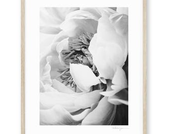 Peony Print, Peony Wall Art, Floral Print, Black and White Peonies, Botanical Print, Floral Wall Art