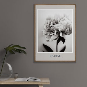 Op de afbeelding: Een zwart-witfoto van een enkele pioenroos met het woord "PIVOINE" onder de bloem.