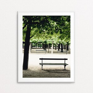 Luxembourg Gardens Photo - Paris Photography, Paris Bench, Paris in the Spring, Paris Decor, Home Decor, Paris Print, Paris Wall Art Print