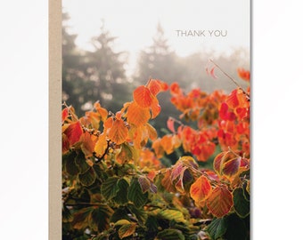 Thank You Card, Thank You Nature Card, Gratitude Card, Autumn Leaves, Pacific Northwest