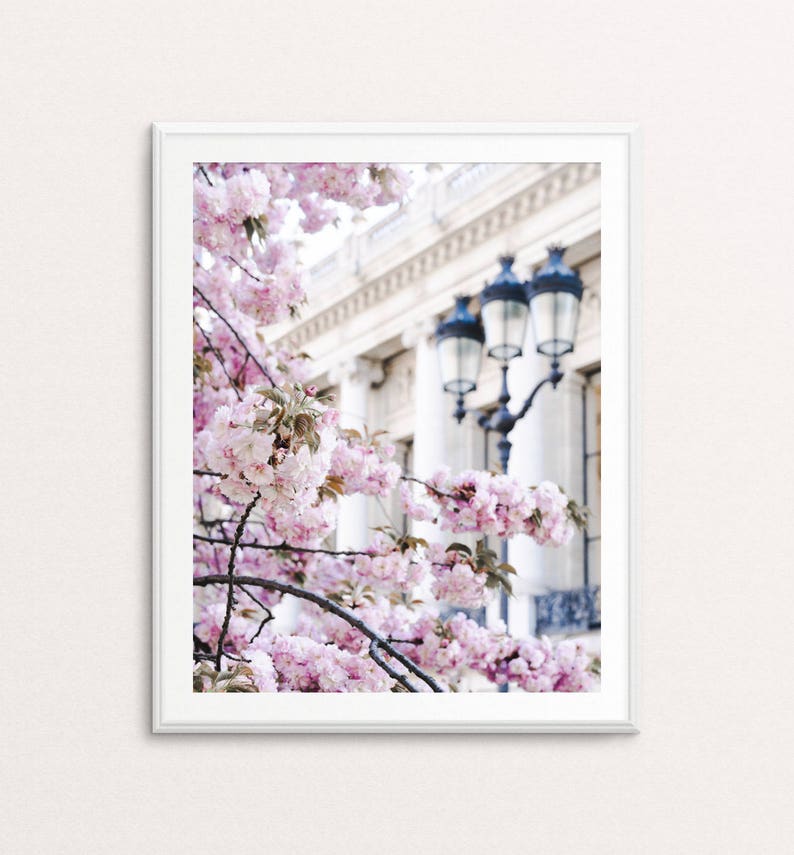 Paris Print Paris Print Paris Photography Paris Wall Art Paris Cherry Blossoms Paris Decor Springtime in Paris Paris Bedroom Decor