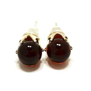 Natural Polished Baltic Amber Stud Earrings - Cherry Black Color