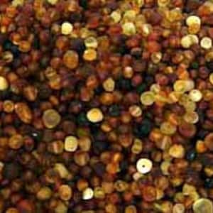 Raw Unpolished Baltic Amber Rounded Drilled Loose Beads - 40 grams - Mix Colors