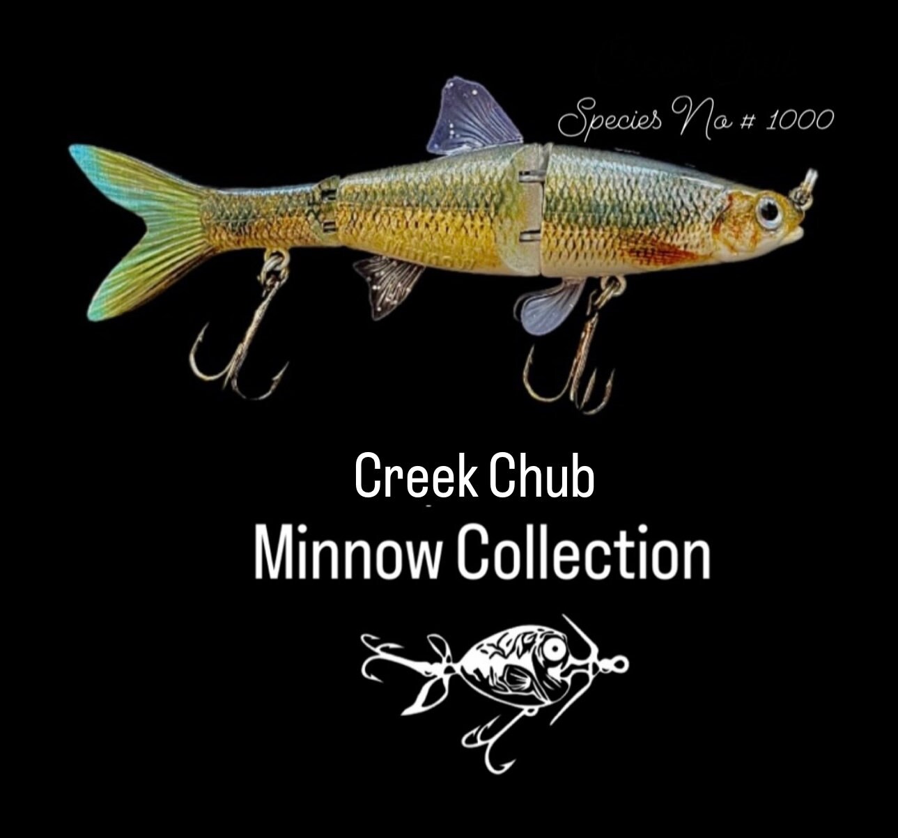 chub fishing reels Creek Striper Strike Baby Blue Fish Tackle, 2 1/8 oz : Sports & Outdoors Fishing for chub with insect