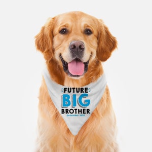 Dog Bandana Baby Announcement  Future Big Brother Big Sister for Boy or Girl