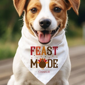 Op de afbeelding: Een witte hondenbandana met de tekst "FEAST MODE" in bruine en oranje letters met een cartoon-kalkoenillustratie. De bandana heeft de naam "CHARLIE" onder de kalkoen gedrukt.