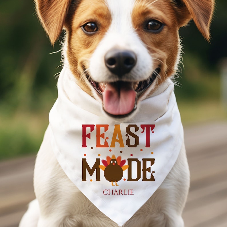 Op de afbeelding: Een witte hondenbandana met de tekst "FEAST MODE" in bruine en oranje letters met een cartoon-kalkoenillustratie. De bandana heeft de naam "CHARLIE" onder de kalkoen gedrukt.