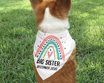 Big Sister Dog Bandana Baby Reveal, Pregnancy Announcement