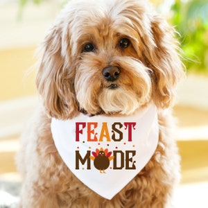 Op de afbeelding: Een bruine en witte hond draagt een witte bandana met de tekst "FEAST MODE" in rode, oranje en bruine letters. Een kleine kalkoenafbeelding bevindt zich in het midden van de tekst.