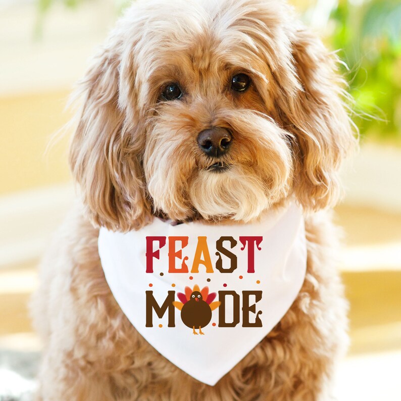 Op de afbeelding: Een bruine en witte hond draagt een witte bandana met de tekst "FEAST MODE" in rode, oranje en bruine letters. Een kleine kalkoenafbeelding bevindt zich in het midden van de tekst.