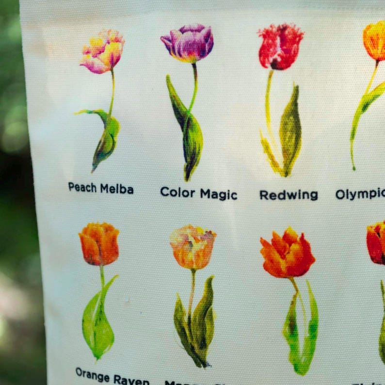 Tulip Names Tote Tulip Varietals Grocery Tote with Tulips Book Tote Bag Art Tote Tulip Name Gift for Tulip Gardener Teacher Gift Tulip image 15