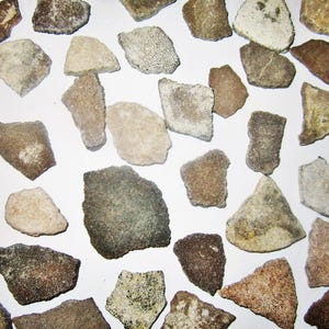4 Fossil Megaloolithidea Eggshell Pieces from the Late Cretaceous from Argentina Dinosaur Eggshell