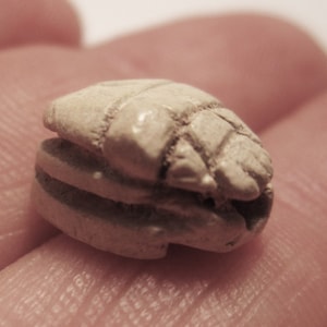Egyptian Scarab, the ancient Egyptian symbol of resurrection, Second Intermediate 1782-1570 BC, Zoomorphic Heiroglyphs