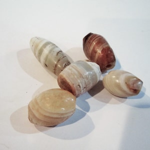 Puede incluir: Una colección de seis cuentas pulidas de forma ovalada. Las cuentas muestran una variedad de colores, incluyendo crema, beige y marrón rojizo, con patrones rayados y arremolinados. Las cuentas son lisas y parecen estar hechas de piedra o un material similar.
