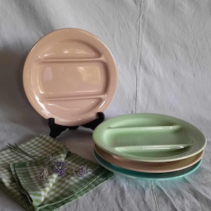 4 French Mid Century Pastel Raclette Fondue Compartment Partition Serving Plates Vintage