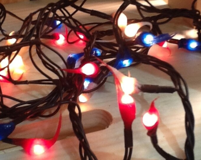 Rice lights RaggedyJunction