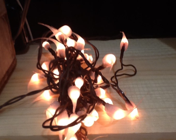 Rice lights RaggedyJunction