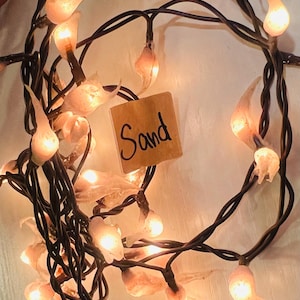 hand dipped teeny silicone rice light electric “sand”