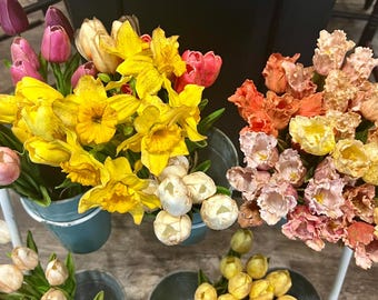12” primitive grungy spring dyed set of tulips or daffodils Raggedy Junction