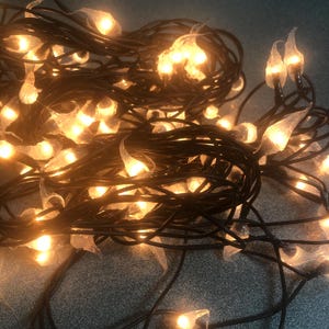 May include: A string of clear, teardrop-shaped Christmas lights with warm white bulbs. The lights are coiled together and the wire is black.