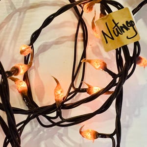 Electric Hand dipped silicone teeny rice lights “Nutmeg”