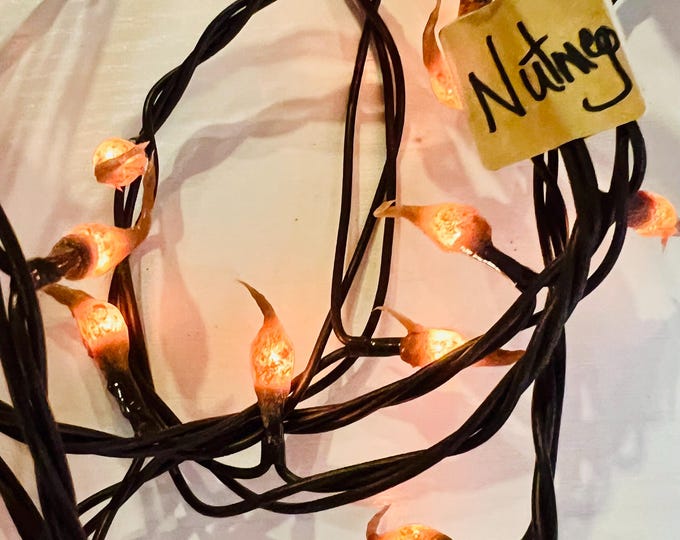 Electric Hand dipped silicone teeny rice lights “Nutmeg”