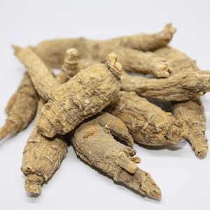 Amerikanischer Ginseng Wurzel, 西洋参