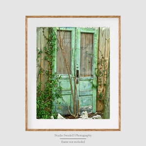 Green Cottage Doors- Door Photography, Door Art Print, Door Artwork, Green Door Print, Green Door Art, St Augustine Print, St Augustine Art