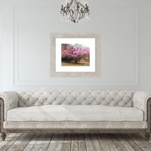 New York Summer- Tree Photo, Pink Flowering Tree Art, Large Tree Nature Landscape, Pink Flower Blossoms, Farmhouse Rural Countryside Art