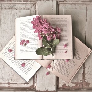 May include: A vintage book with a pink flower pressed inside. The book is open and the pages are visible. The flower is a light pink and has a green stem. The book is on a white wooden surface.