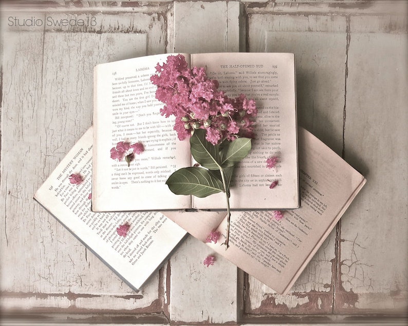 May include: A vintage book with a pink flower pressed inside. The book is open and the pages are visible. The flower is a light pink and has a green stem. The book is on a white wooden surface.