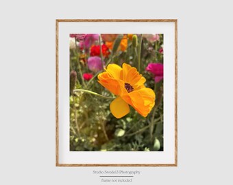 Estampado de flores amarillo dorado, estampado de flores silvestres de granja, arte botánico amarillo, estampado de amapolas amarillas, arte floral, flores de amapola amarillas