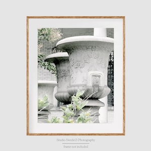 May include: Two large, white, stone urns with intricate details stand in a garden setting. The urns are partially obscured by green foliage.