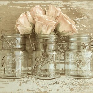 Peach Blossoms- Rose Photography, Shabby Rose Print, French Country Art, Romantic Rustic Country Kitchen Art, Farmhouse Cottage Bath Art image 2