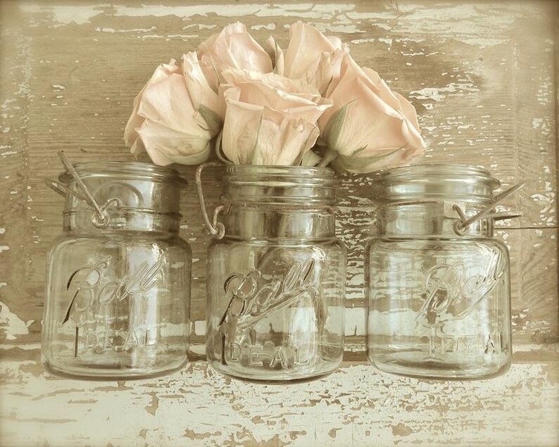 Peach Blossoms- Rose Photography, Shabby Rose Print, French Country Art, Romantic Rustic Country Kitchen Art, Farmhouse Cottage Bath Art image 2