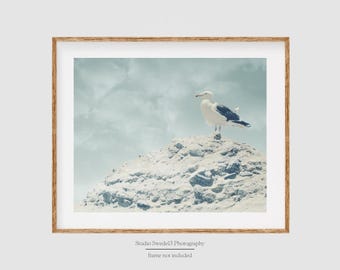 Sea Daze- Bird Photography, Animal Nature Photo, Beach Seascape Wall Art, Aqua Art, California Landscape Beach Photo, Coastal Photography