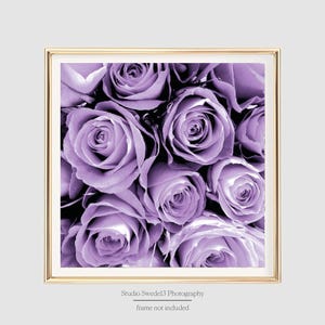 May include: A close-up of a bouquet of lavender roses. The roses are arranged in a cluster, with the petals overlapping and creating a soft, romantic look.