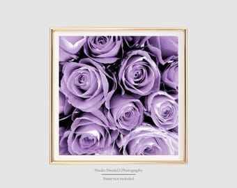 Lavender Love- Purple Rose Flower Art Print, Cottage Chic Garden Photography, Purple Flowers, Romantic Lavender Botanical Print, Rose Photo
