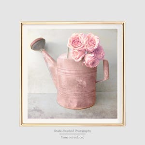 May include: A vintage pink watering can with a bouquet of pink roses inside. The watering can is slightly rusted and has a rustic charm.