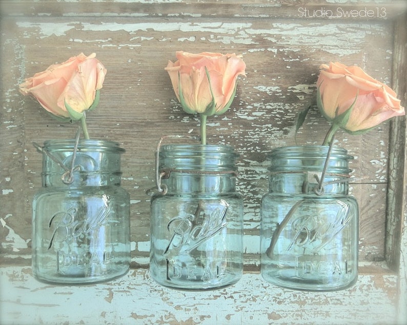 Rose Trio Farmhouse Rose Print, Shabby Cottage Chic, French Country Kitchen Art, Rose Photo, Mason Jar Rustic Decor, Farmhouse Chic Art image 1