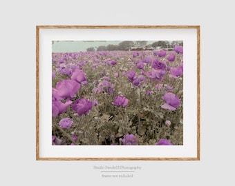 Purple Passion- Purple Flower Field Landscape Photography, Country Field Art, Farmhouse Wildflower Print, Lavender Flower Nature Photography