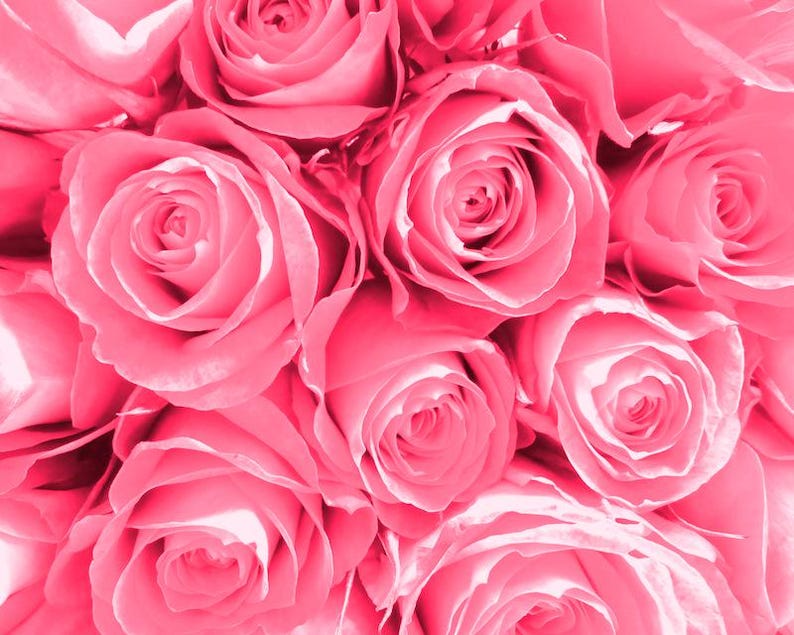 May include: A bouquet of pink roses with soft petals and a delicate, romantic feel.